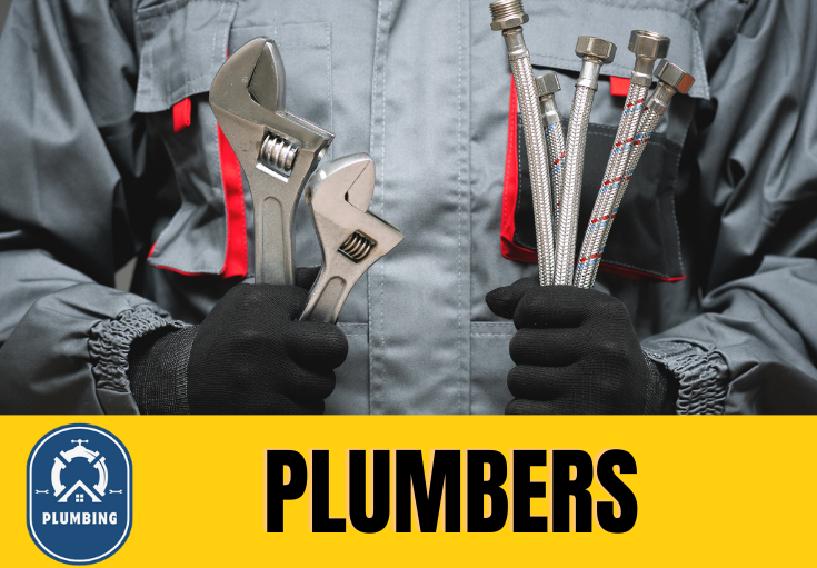  plumber Herringthorpe