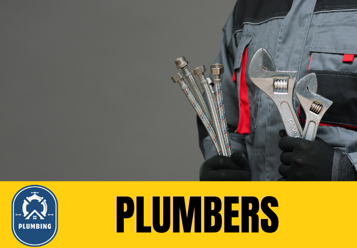 plumber Treeton
